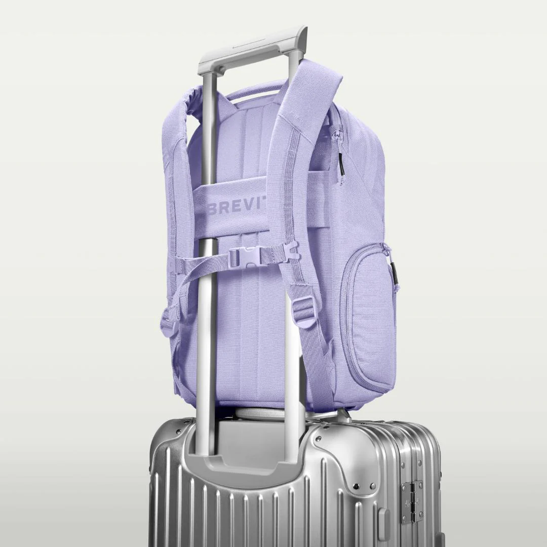 The Jumper (2026 Edition) - Image 30